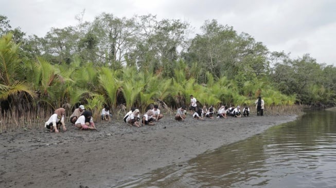Jaga Lingkungan, OMG Sumbar Bersama Masyarakat Tanam Ratusan Bibit Mangrove di dalam tempat Pantai Penyu
