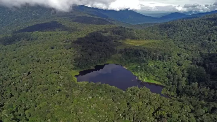 Indonesia Berhasil Turunkan Taraf Deforestasi hingga 65%