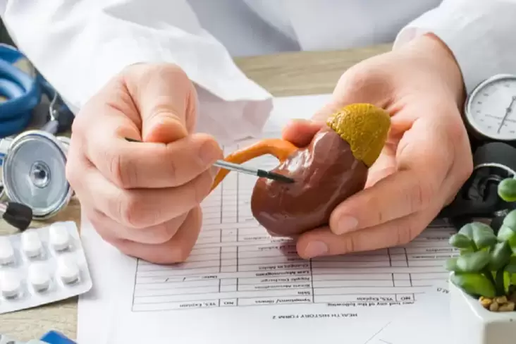 Mengenal Nefropati Diabetik, Penyebab Gagal Ginjal akibat Diabetes