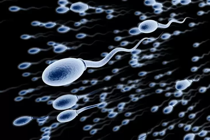 9 Kebiasaan yang yang dimaksud Membuat Mutu Sperma Menurun hingga Menyebabkan Kemandulan