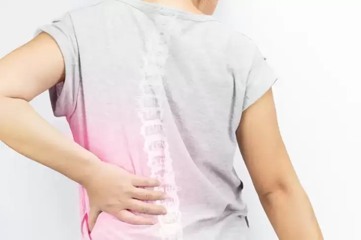 5 Nutrisi yang tersebut mana Dibutuhkan untuk Penyakit Osteoporosis