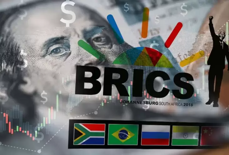 Afrika Selatan Pastikan Mata Uang Bersama BRICS Terus Dikaji