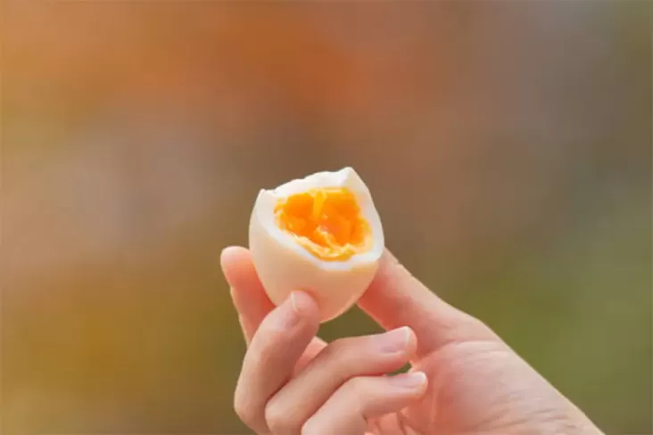 14 Makanan yang digunakan Boleh juga Tak Boleh Dikonsumsi ketika Diet Telur Rebus