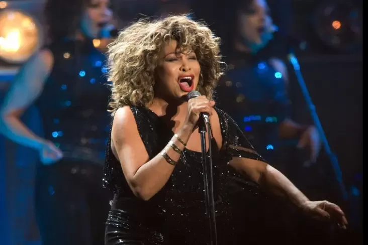 5 Artis Hal ini Jadi Tenaga Medis sebelum Terkenal, Tina Turner Nyanyi Sambil Kerja pada RS