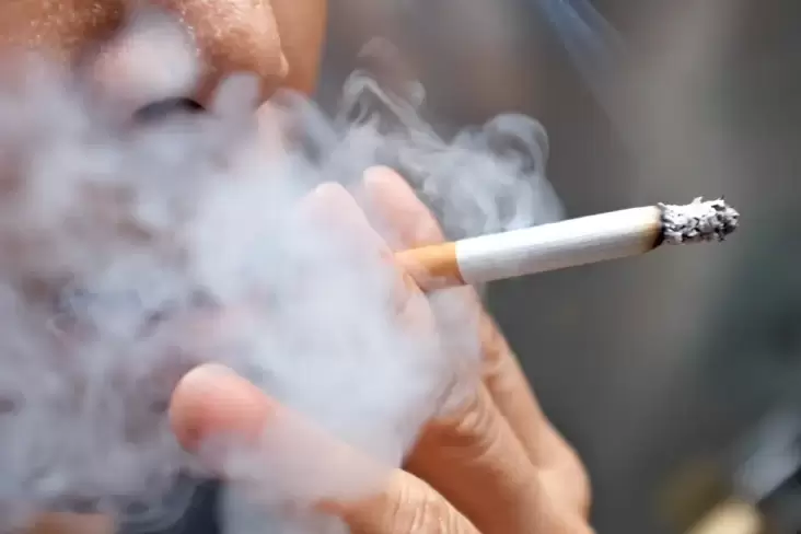 Hari Tanpa Tembakau Sedunia, Kenali Konsekuensi Tidak Baik Rokok