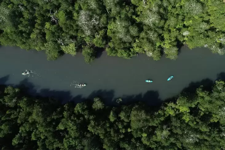 Atraksi Wisata Air Baru pada pada Labuan Bajo, Menyusuri Hutan Mangrove dengan Kayak