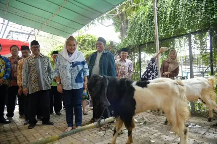 Ini adalah adalah Jumlah Binatang Kurban Pemkot Semarang yang digunakan mana Akan Dibagikan hingga Wilayah Pinggiran