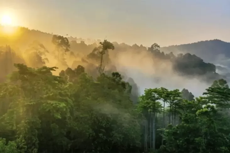 7 Tempat Wisata Dingin pada Kalimantan, Nomor 6 Salah Satu Puncak Tertinggi pada Indonesia