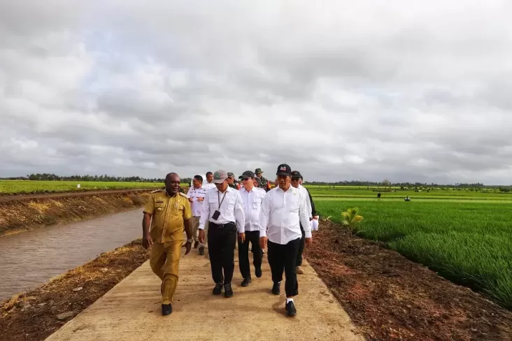 Kementan Kembangkan Varietas Padi Cakrabuana pada Merauke, Adaftif terhadap Perubahan Iklim